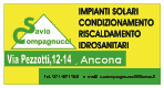 Logo Savio Compagnucci